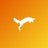 fastfox.pro значок
