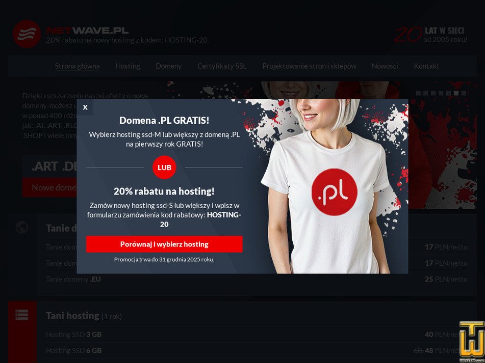 netwave.pl zrzut ekranu