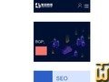 截图 SEO Basic Edition 从 zitian.cn